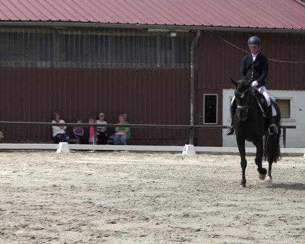 Reitturnier Marienheide-Kempershöhe 2022
