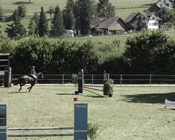Reitturnier Elgg 2022
