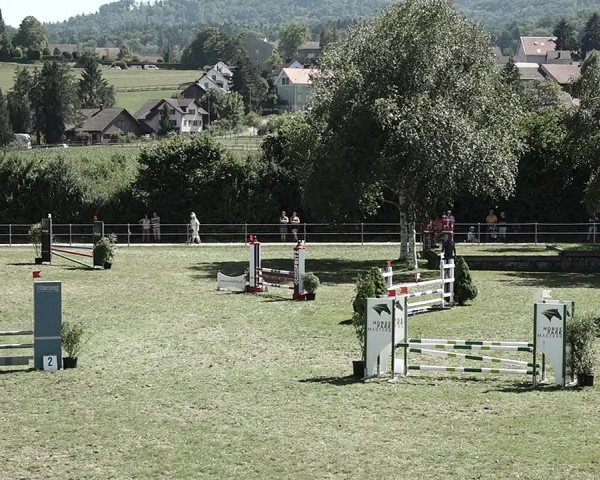 Reitturnier Elgg 2022