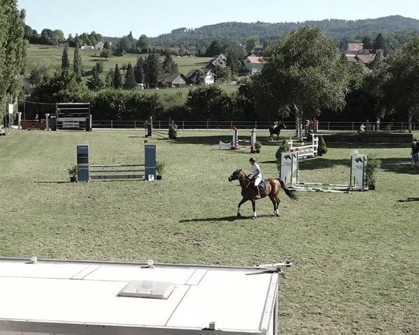 Reitturnier Elgg 2022