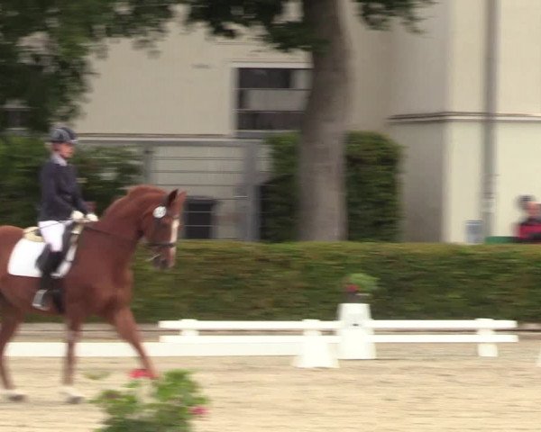 Reitturnier Neustadt/Dosse 2022