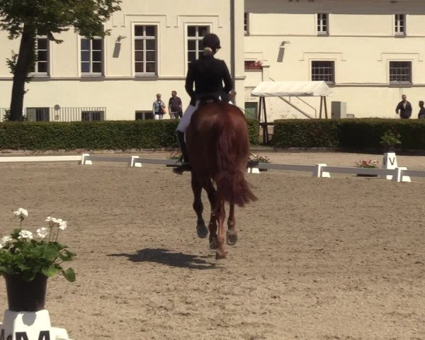 Reitturnier Neustadt/Dosse 2022