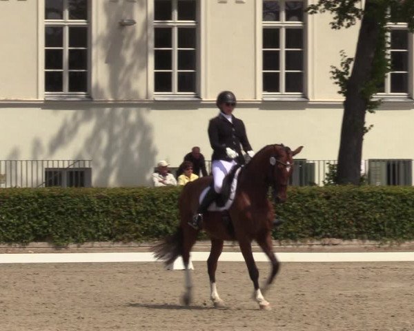 Reitturnier Neustadt/Dosse 2022