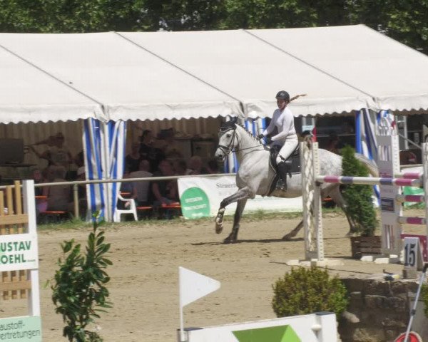 Reitturnier Heiligenwald 2022