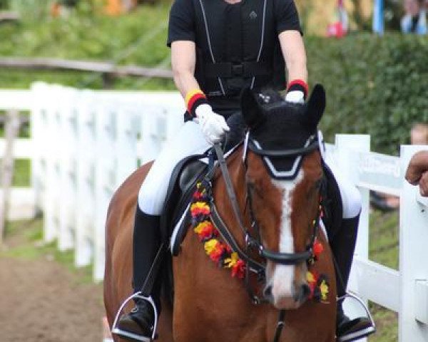 horse Lucy 663 (unknown, 2005)