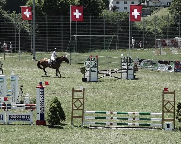 Reitturnier Elgg 2022