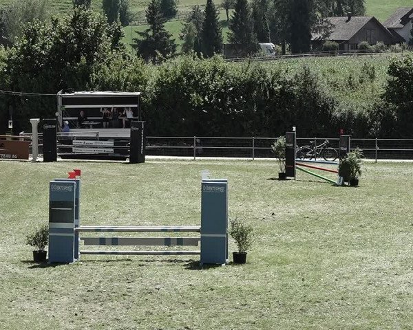 Reitturnier Elgg 2022