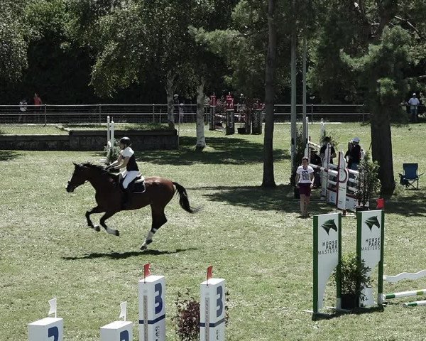Reitturnier Elgg 2022