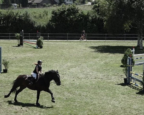 Reitturnier Elgg 2022