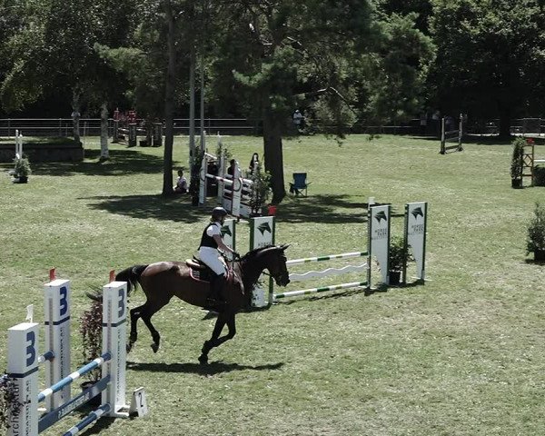 Reitturnier Elgg 2022
