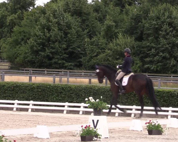 Reitturnier Neustadt/Dosse 2022
