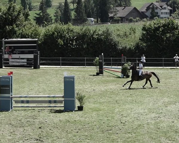 Reitturnier Elgg 2022