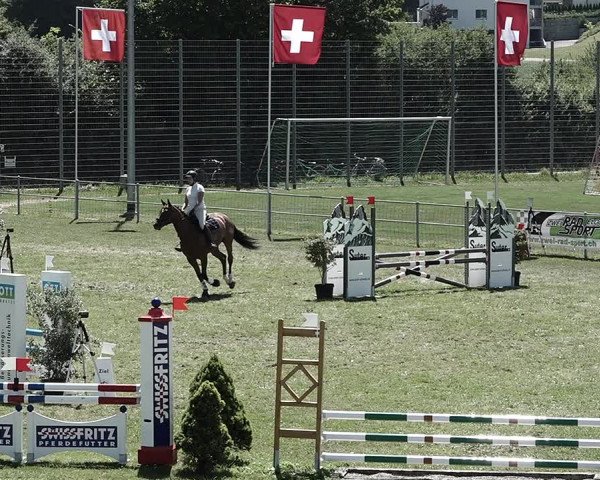 Reitturnier Elgg 2022