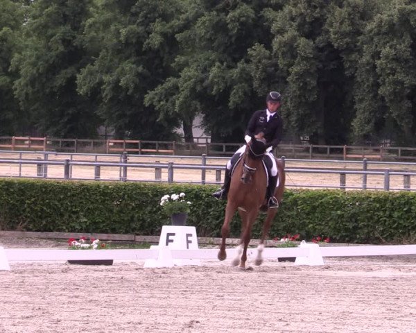 Reitturnier Neustadt/Dosse 2022