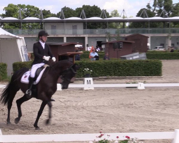 Reitturnier Neustadt/Dosse 2022
