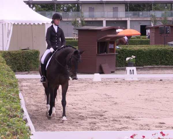 Reitturnier Neustadt/Dosse 2022
