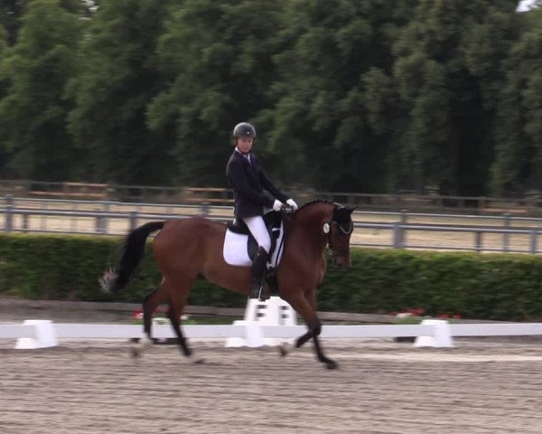 Reitturnier Neustadt/Dosse 2022