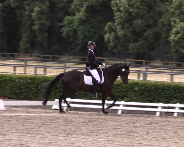 Reitturnier Neustadt/Dosse 2022