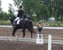 horse San Diamont 4 (Oldenburg, 2008)