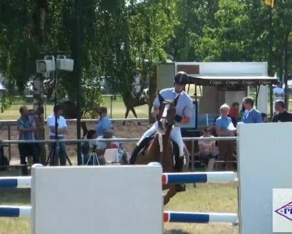 broodmare Bea 56 (Oldenburg show jumper, 2002, from Barrichello)