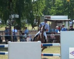 broodmare Bea 56 (Oldenburg show jumper, 2002, from Barrichello)