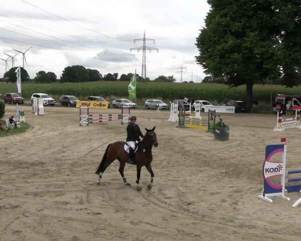Reitturnier Recklinghausen 2022