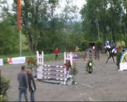 jumper Penny Lane 340 (Bavarian, 2005, from Da Lisco)