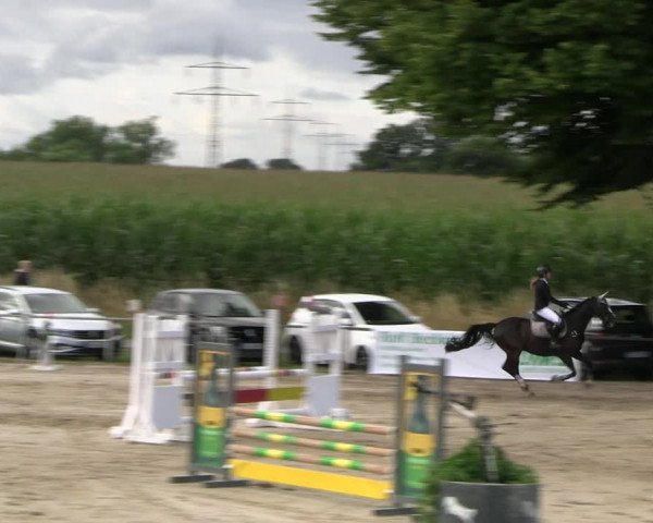 Reitturnier Recklinghausen 2022