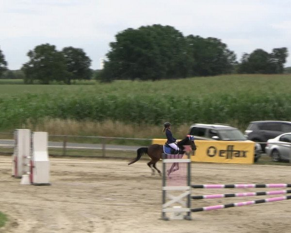 Reitturnier Recklinghausen 2022
