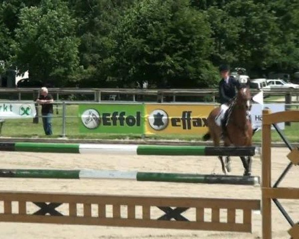 jumper Folaz (Holsteiner, 2003, from Limbus)