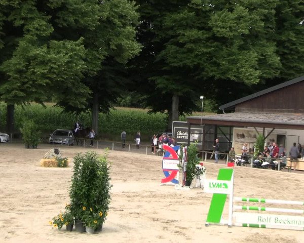 Reitturnier Recklinghausen 2022
