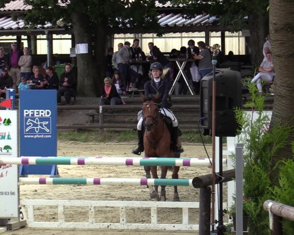 Reitturnier Marienheide-Kempershöhe 2022