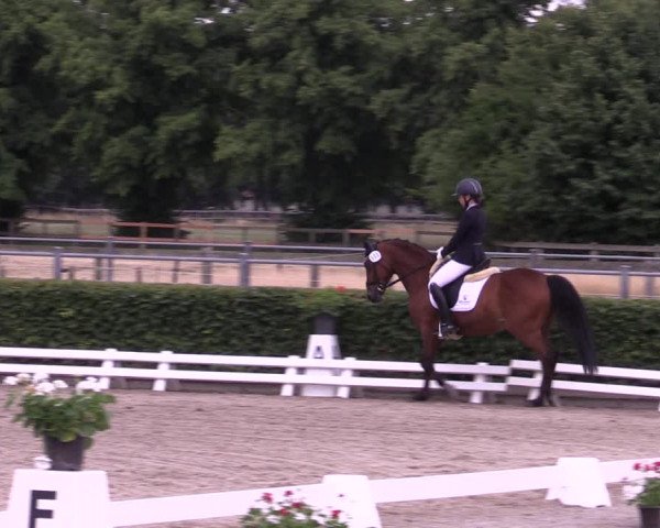 Reitturnier Neustadt/Dosse 2022