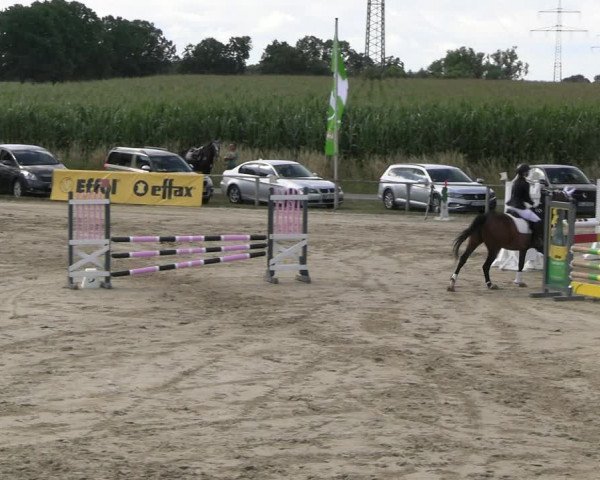 Reitturnier Recklinghausen 2022