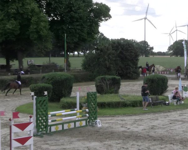 Reitturnier Recklinghausen 2022