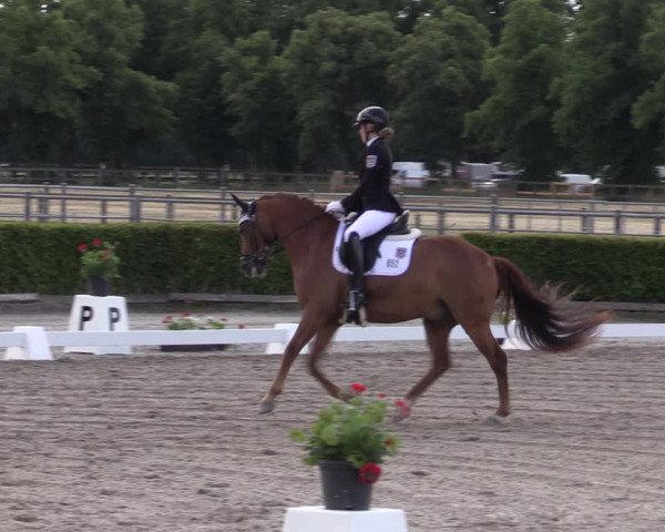 Reitturnier Neustadt/Dosse 2022