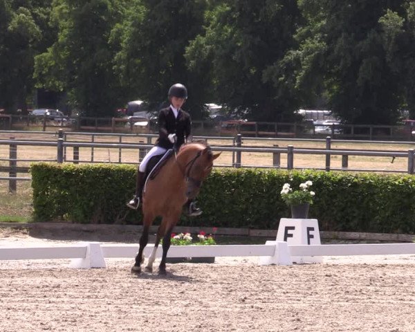 Reitturnier Neustadt/Dosse 2022