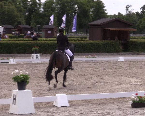 Reitturnier Neustadt/Dosse 2022