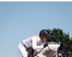 jumper Claire 190 (Hanoverian, 2014, from Christian 25)