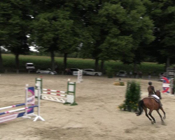 Reitturnier Recklinghausen 2022