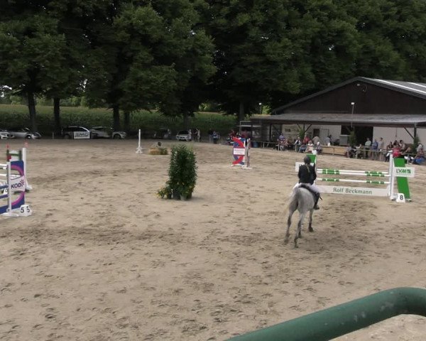 Reitturnier Recklinghausen 2022
