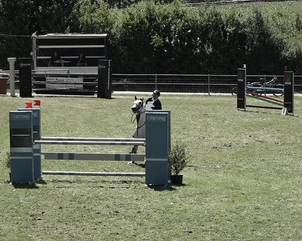 Reitturnier Elgg 2022