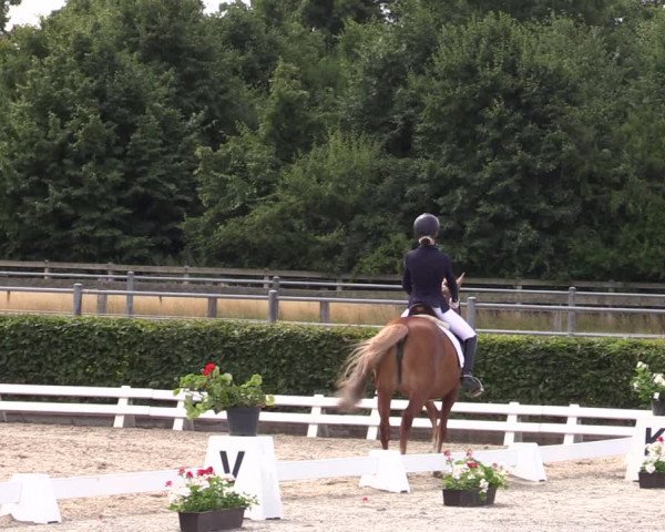 Reitturnier Neustadt/Dosse 2022