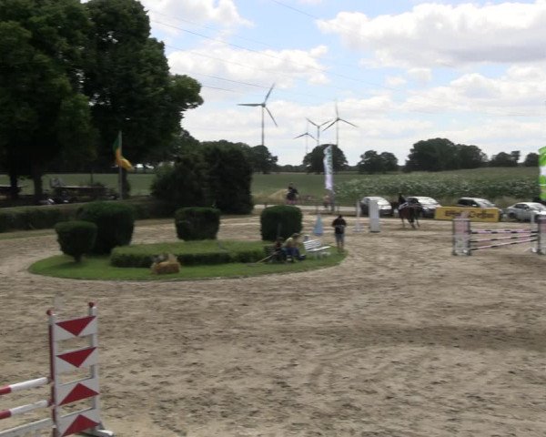 Reitturnier Recklinghausen 2022