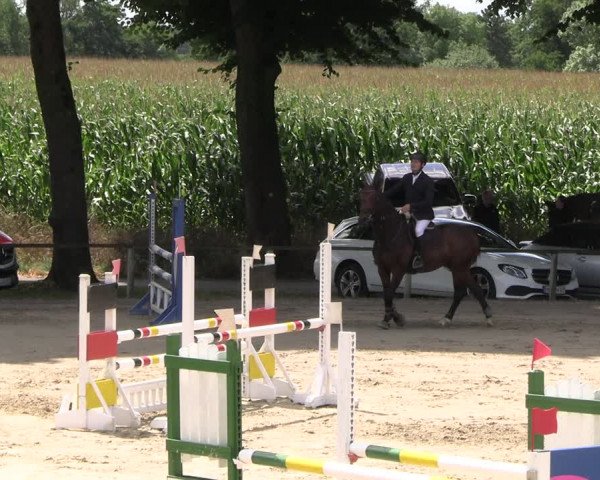 Reitturnier Recklinghausen 2022