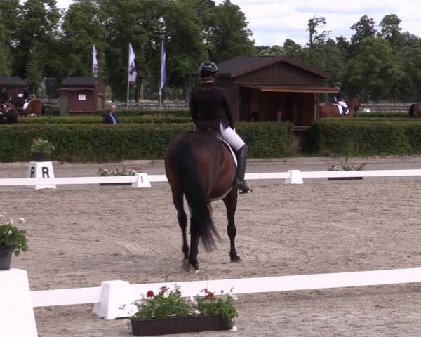 Reitturnier Neustadt/Dosse 2022