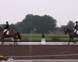 Dressurpferd Layang Layang F (Oldenburger, 1997, von Landor S)