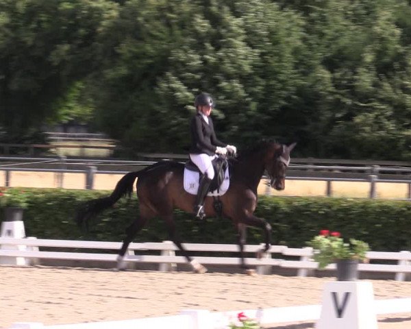 Reitturnier Neustadt/Dosse 2022