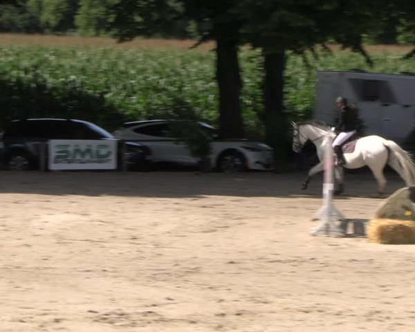 Reitturnier Recklinghausen 2022
