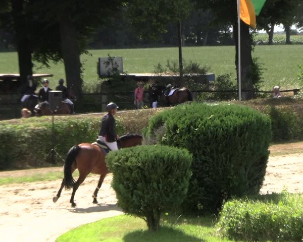 Reitturnier Recklinghausen 2022